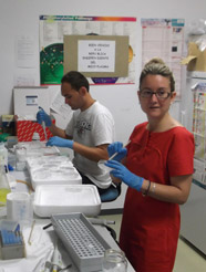 Equipo investigador Equipo investigador