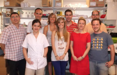 Equipo investigador