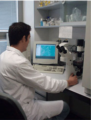 Equipo investigador